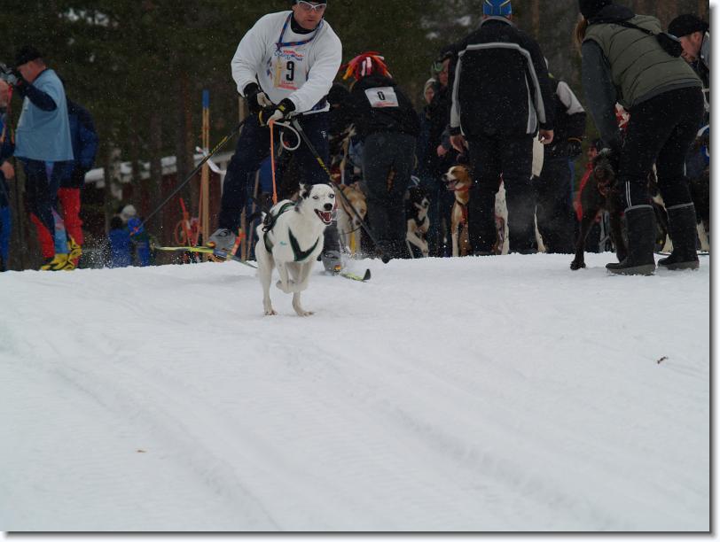 Nästa bild